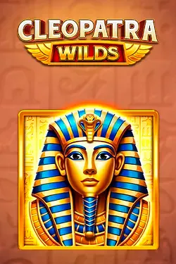 Gioco delle slot5